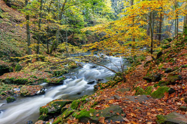 istock Autumn, fall wild river Doubrava, picturesque landscape. 865652710
