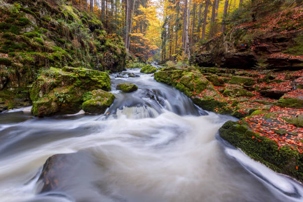 istock Autumn, fall wild river Doubrava, picturesque landscape. 865652992
