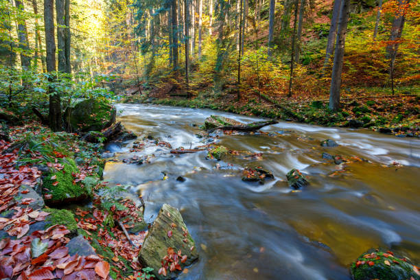 istock Autumn, fall wild river Doubrava, picturesque landscape. 865653114