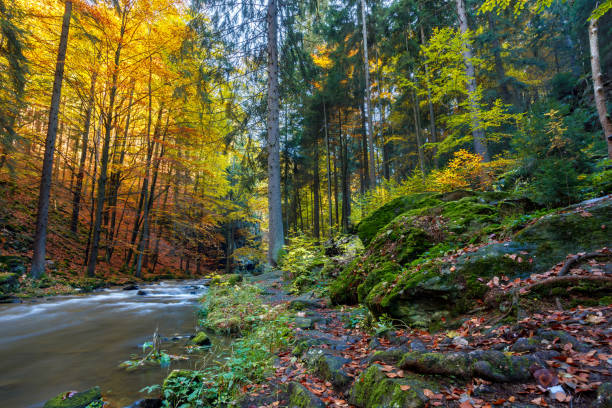 istock Autumn, fall wild river Doubrava, picturesque landscape. 865655298