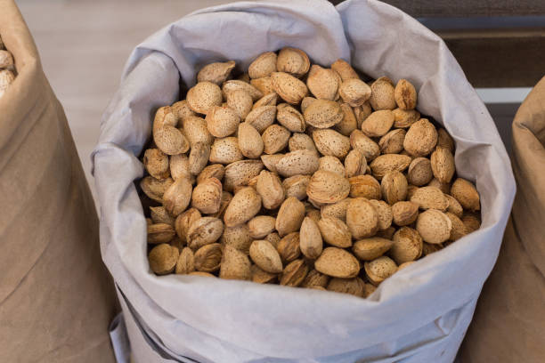 istock Image of brown almond in container 865659484
