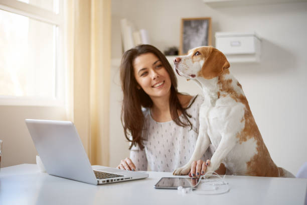 istock Woman playing with dog at home office 865660528