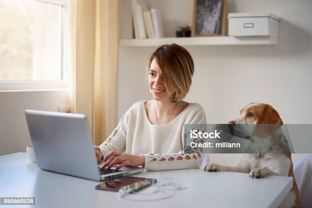 Woman Using Laptop Her Dog Next To Her Stock Photo - Download Image Now - Dog, Laptop, Pet Owner