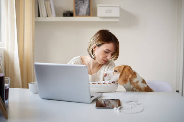 istock Woman looking at her dog while siting at home office 865660752