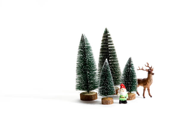 forest firs reindeer and gnome