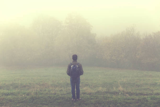 istock wild hiker observing the forest in the fog 865668792