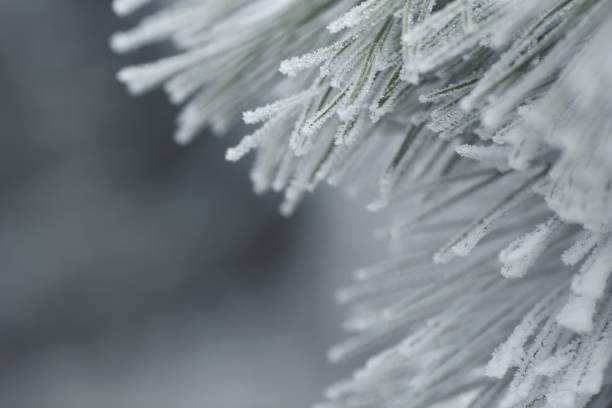 istock Christmas winter background with snow 865671672