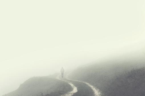 A path crosses a frosted field, shrouded in a blanket of icy fog.