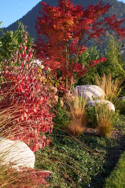 istock autumn in the garden 865676410