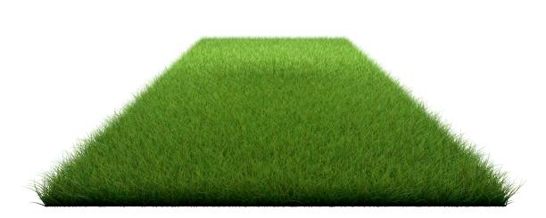 istock 3d rendering of a grass patch isolated on white for architecture design or othe use 865680172