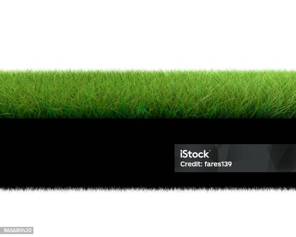 Texture Rumput 3d Rendering 3d Dari Patch Rumput Yang Diisolasi Di Atas Putih Untuk ...