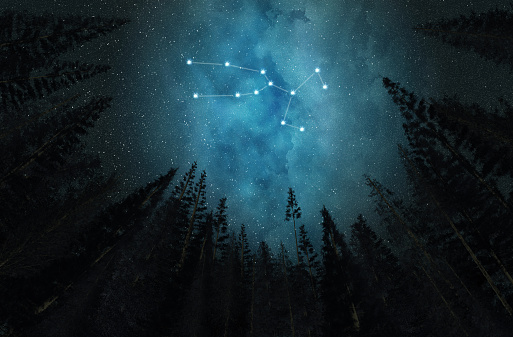 Constellation Taurus. Night sky. Stars. Night in the forest.