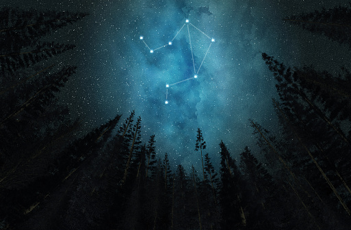 Constellation Libra. Night sky. Stars. Night in the forest.