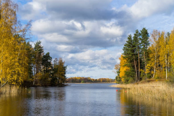 istock Sweden outdoors at beautiful october autumn day 865687660