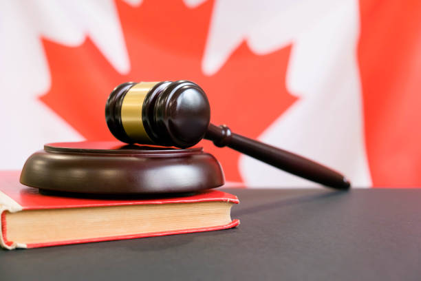 istock Gavel and Flag of Canada 865689154