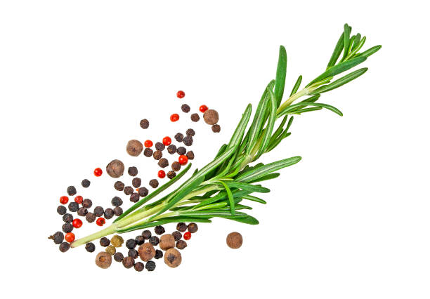 istock Rosemary and peppercorns on a white background, closeup 865692086