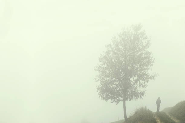 solitary man under big tree in the fog