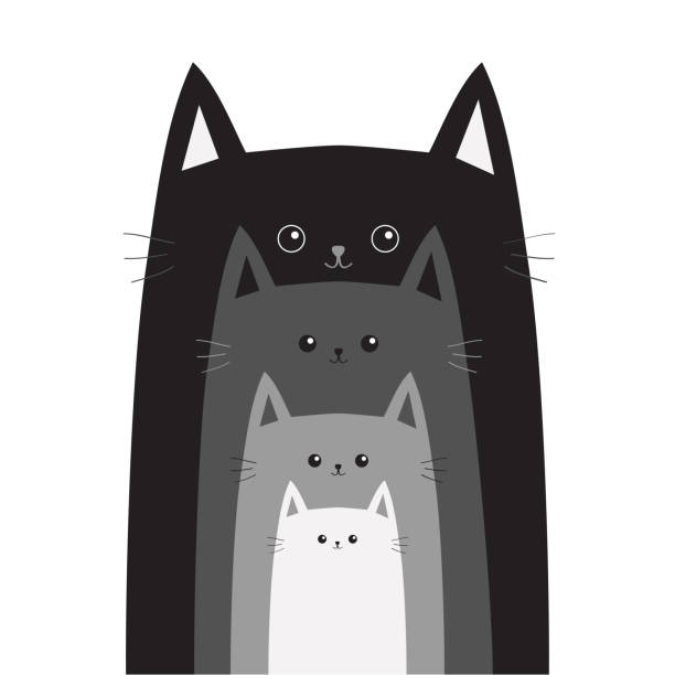 Póster Cabeça de gato cinza preto olhando pro laço azul pendurado na linha.  gatos em uma fileira. tamanho diferente. conjunto de família personagem de  desenho animado bonito. cartão da coleção do bebê
