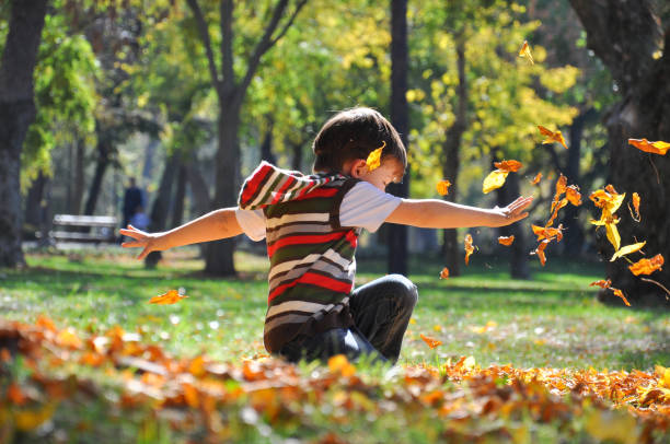 istock Boy  throws leaves in autumn park . 865718866