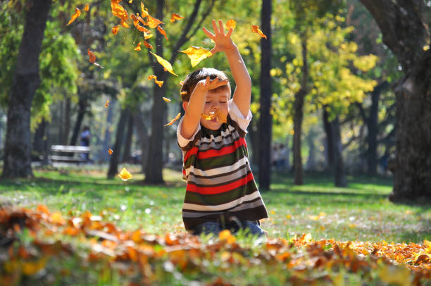 istock Boy  throws leaves in autumn park . 865719390