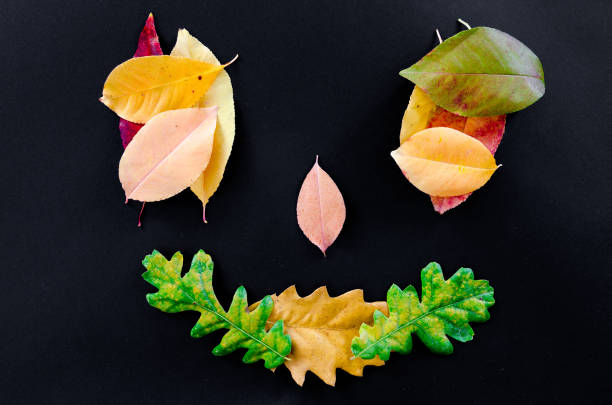 istock Autumn leaves isolated on black background 865732100