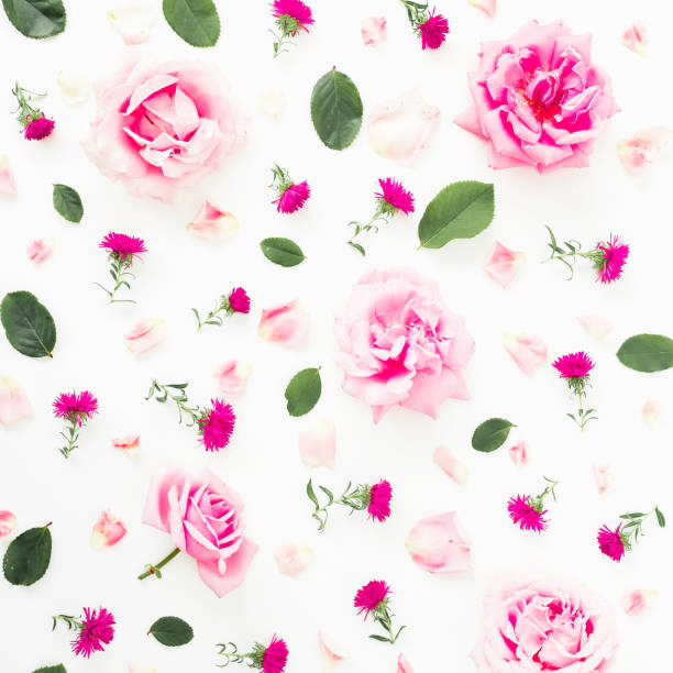 istock Floral pattern with pink roses, petals and leaves on white background. Flat lay, top view. 865733282