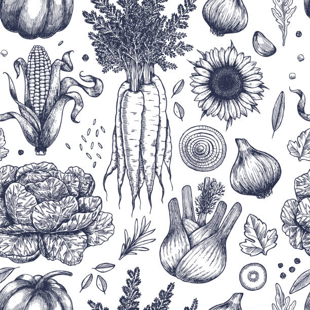 Autumn vegetables seamless pattern. Handsketched vintage vegetables. Line art illustration. Vector illustration Vector illustration agriculture illustrations stock illustrations