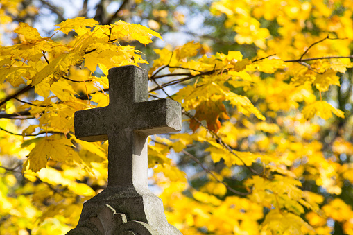 Old stone memorial cross at cemetery. Religious Christian symbol on autumn trees background