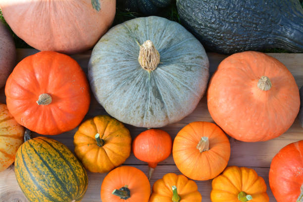 istock Various pumpkins on wooden background 865750410