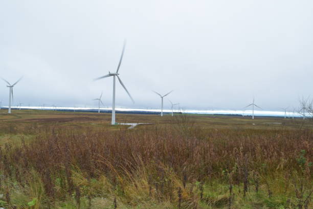 istock Whitelee Wind Farm, Scotland, Wind Turbines 865753028