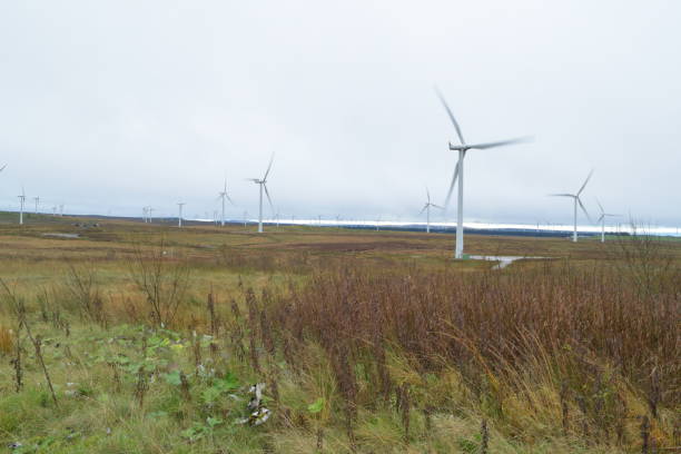 istock Whitelee Wind Farm, Scotland, Wind Turbines 865753138