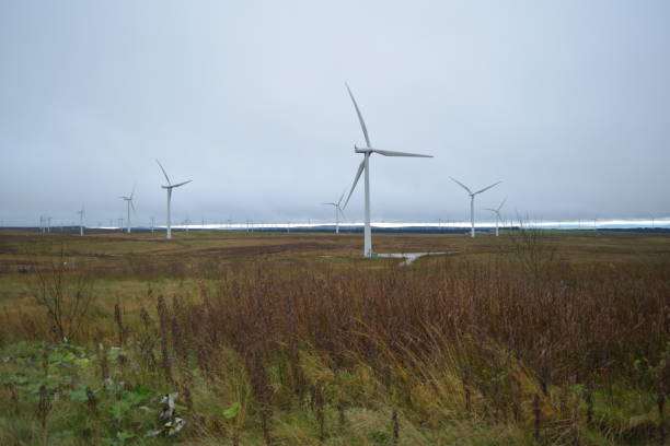 istock Whitelee Wind Farm, Scotland, Wind Turbines 865753224