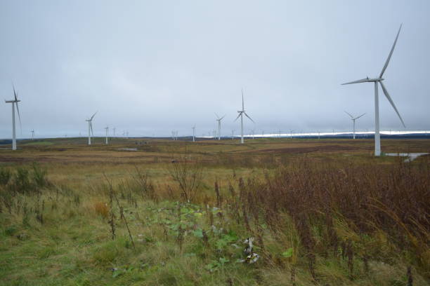 Whitelee Wind Farm, Scotland, Wind Turbines