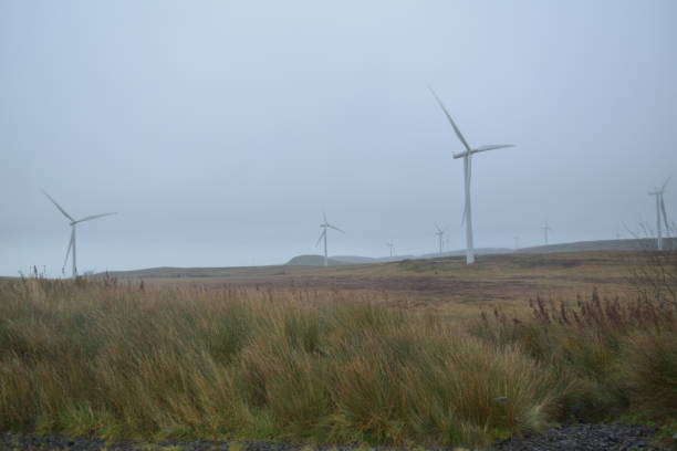 istock Whitelee Wind Farm, Scotland, Wind Turbines 865753946