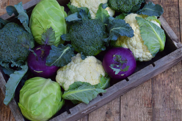 istock Composition from different varieties of cabbage on wooden background. Cauliflower, kohlrabi, broccoli, white head cabbage. Organic fresh vegetables 865756894