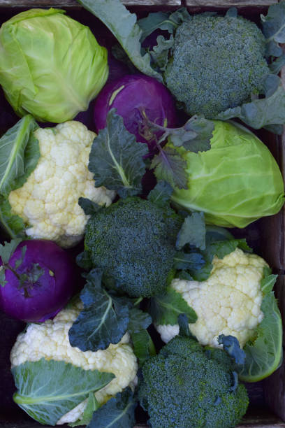 istock Composition from different varieties of cabbage on wooden background. Cauliflower, kohlrabi, broccoli, white head cabbage. Organic fresh vegetables 865757254