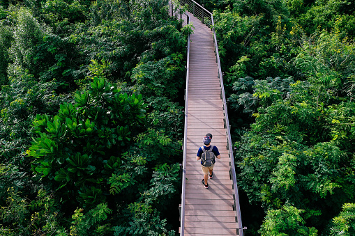 Aerial view of young man traveling and walking on the forest walkway trail - travel and recreation concept