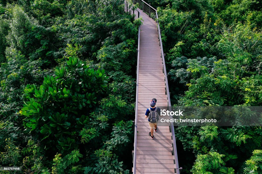 Aerial view of young man traveling and walking on the forest walkway trail - travel and recreation concept Bridge - Built Structure Stock Photo