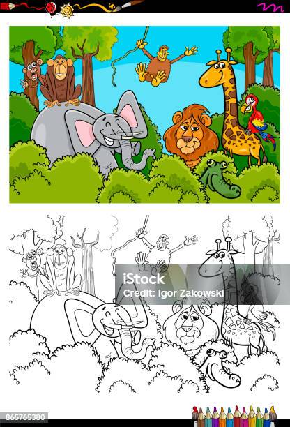 Cartoon Wild Animal Characters Coloring Book Stock Illustration - Download Image Now - Coloring, Rainforest, Animal