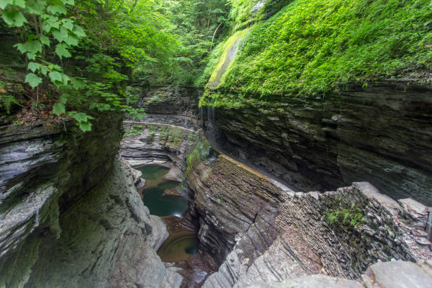 istock rock layers and green vegetation, Watkins Glen 865767792