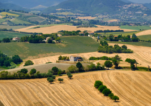 istock Summer landscape in Marches (Italy) near Ostra 865768052
