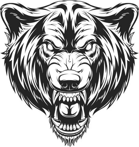 Vector illustration of The head of the ferocious wolf