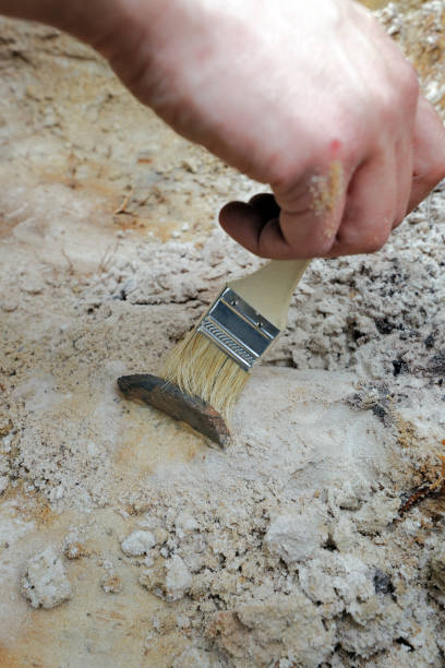 istock Archaeological find - a fragment of a ceramic vessel 865786804