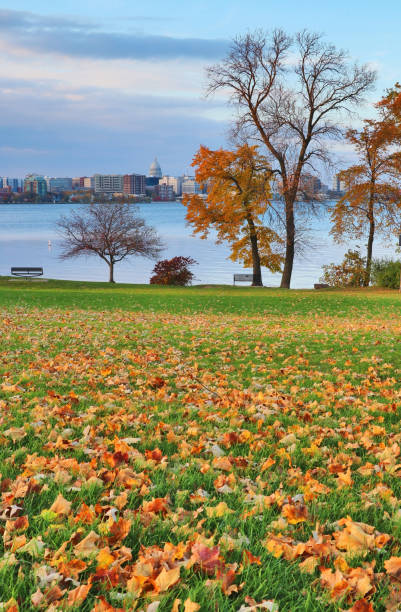 istock Autumn in a city. 865792444