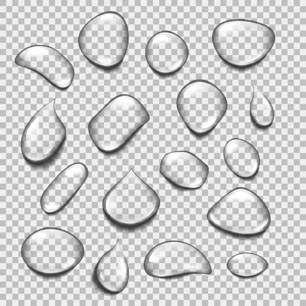 Vector illustration of Set of transparent drops of different shapes