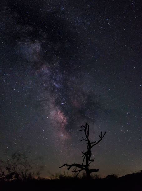 istock Milky Way Over Skyline Drive Shenandoah 865800466