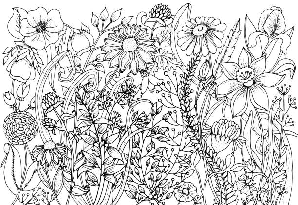 Hand drawn with ink background with doodles, flowers, leaves. Nature design for relax and meditation. Hand drawn background with doodles, flowers, leaves. Nature design for relax, meditation. Vector pattern black and white illustration can be used for coloring book pages for kids and adults. coloring book cover stock illustrations