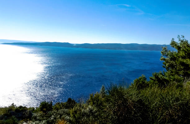 istock Forest on the Croatian coast 865801052