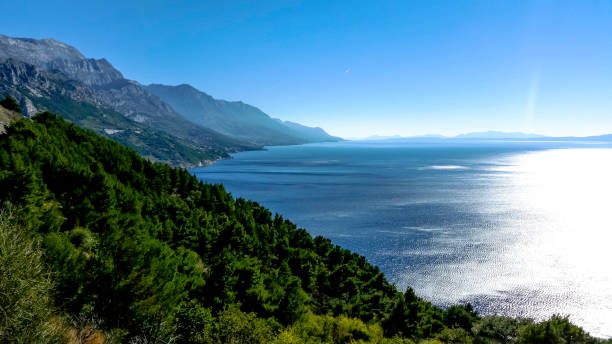 istock Forest on the Croatian coast 865801056