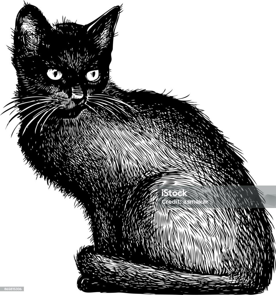 Sketch Of A Black Kitten Stock Illustration - Download Image Now ...